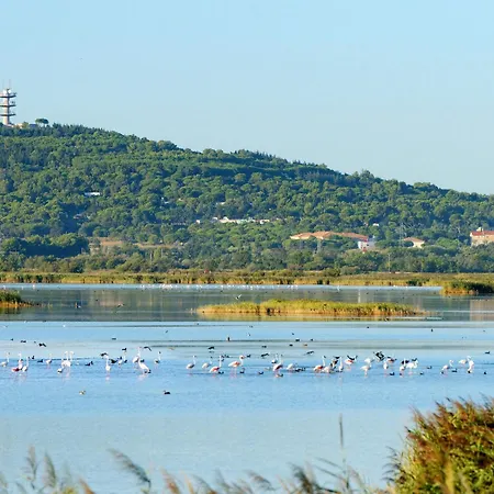 De La Plage-4 By Interhome Apartmán